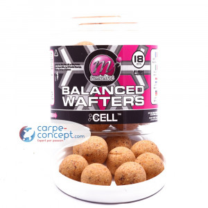 MAINLINE the cell balanced wafters 18mm 1