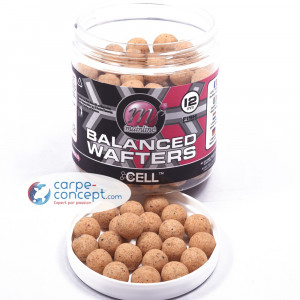 MAINLINE Balanced Wafters 12 mm The Cell 1