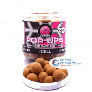 MAINLINE Pop-up Top Range  15 mmThe Cell 1