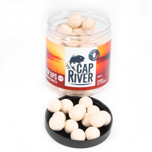 CAP RIVER Pop up Indian Spice 18mm Blanche 1