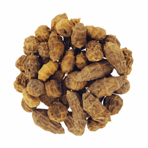 CARPE-CONCEPT Tigernuts XXL 1kg
