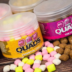 MAINLINE Quads Pop-up The Link