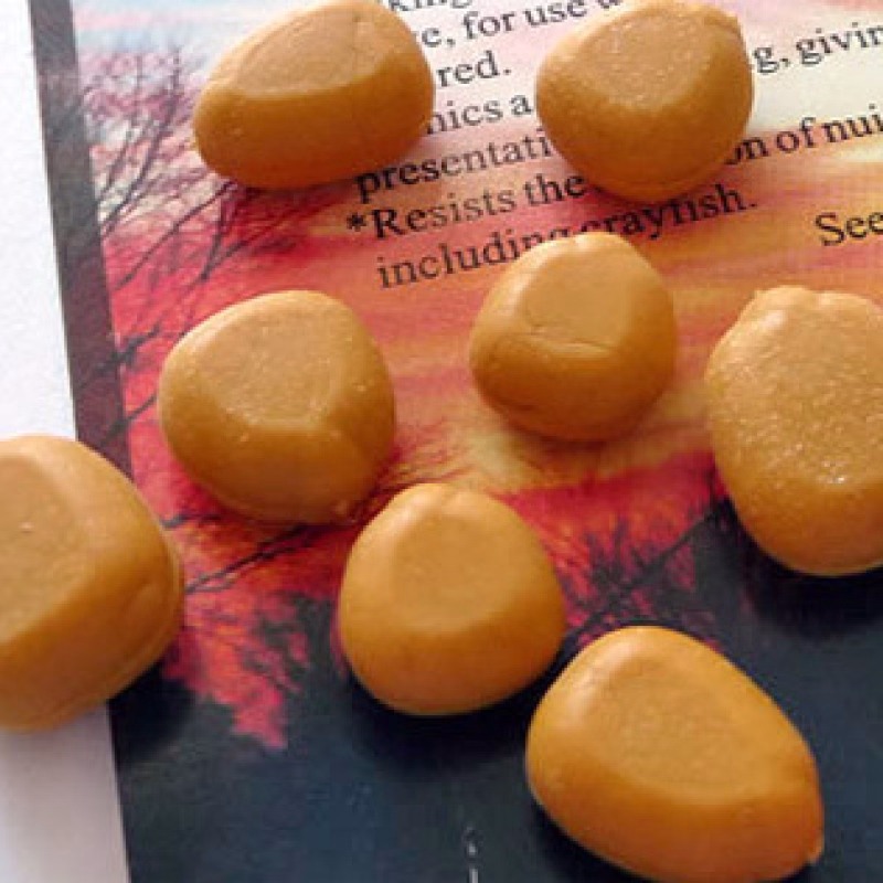 ENTERPRISE TACKLE Mais pop-up  Orange tutti fruty