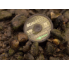 KORDA Kamo Coated Hooklink