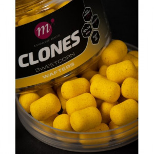 MAINLINE Clones Wafters Sweetcorn 1