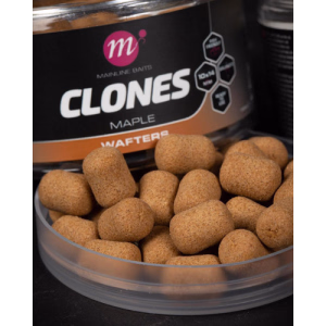 MAINLINE Clones Wafters Maple