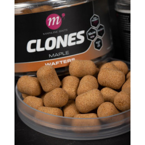 MAINLINE Clones Wafters Maple 1