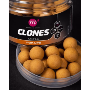 MAINLINE Clones Pop-up Maple