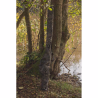 SOLAR Undercover Camo Rod Holldall 3+2 Rod 12'