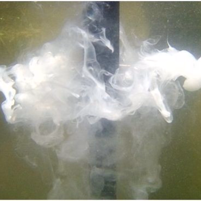 CARPSPOT Cloudmaker + 2 éponges**.