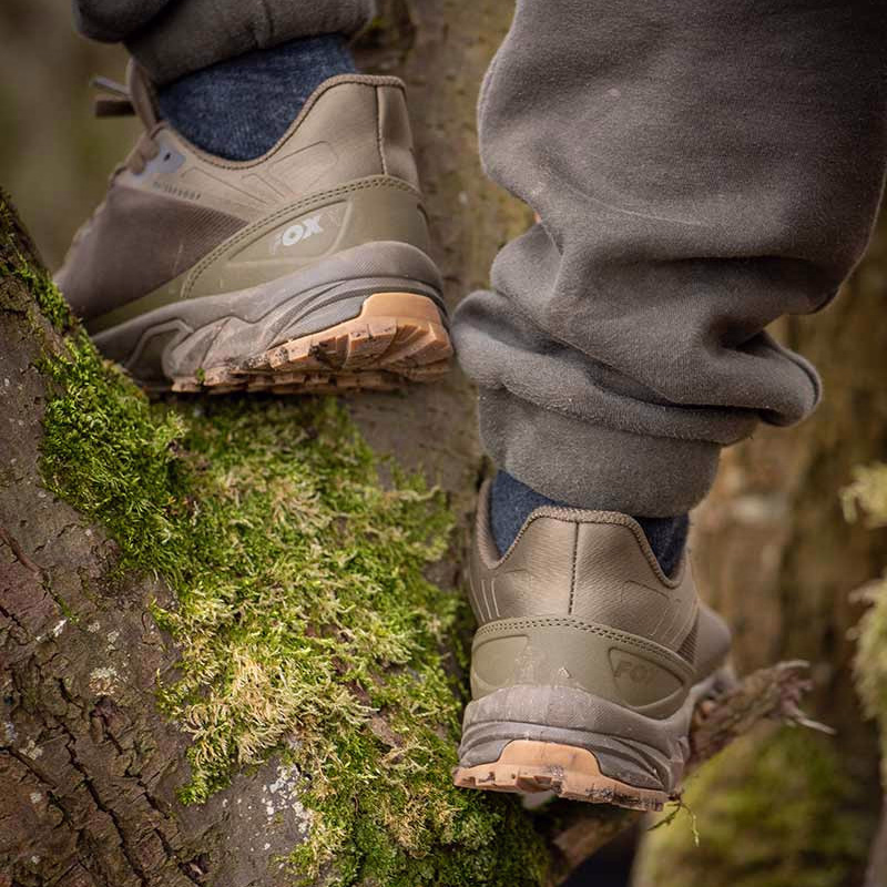 FOX Explorer Trainer