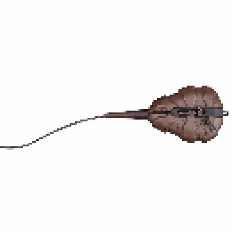 POLE POSITION CS GRIPPA ACTION PACK 57G SILT