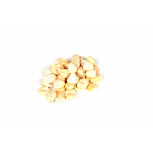 CARPE-CONCEPT Mais Geant 1kg
