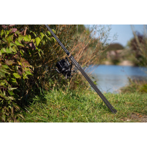 SPORTEX Carpy 12ft 2.75lb & 3.5lb (2 scions)/