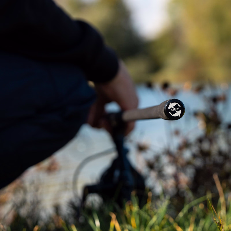 SPORTEX Carpy 12ft 2.75lb & 3.5lb (2 scions)/