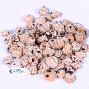 CARPE-CONCEPT Tigernuts Blanche 1 kg