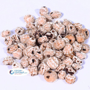 CARPE-CONCEPT Tigernuts Blanche 1 kg 1