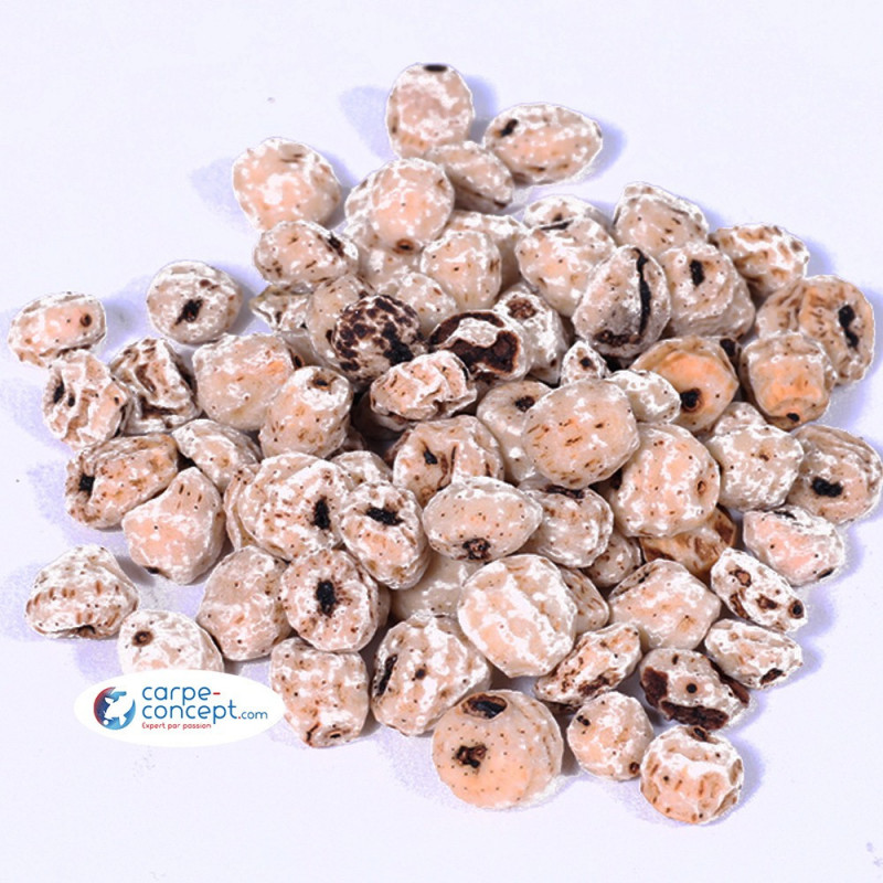 CARPE-CONCEPT Tigernuts Blanche 1 kg