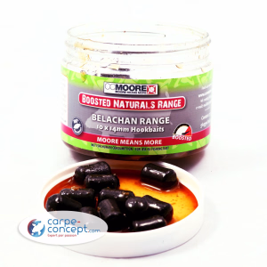 CC MOORE Booster Belachan Hookbait 10x14mm