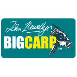 BIG CARP