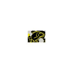 CARPSPIRIT